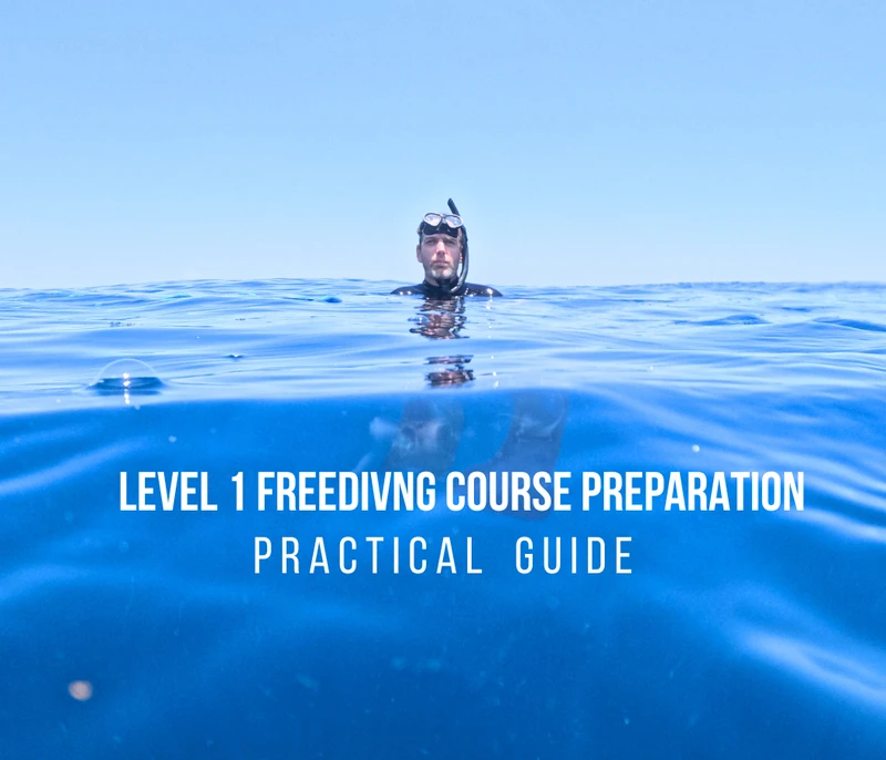 New Article: Prepare to Level 1 Freediving Course