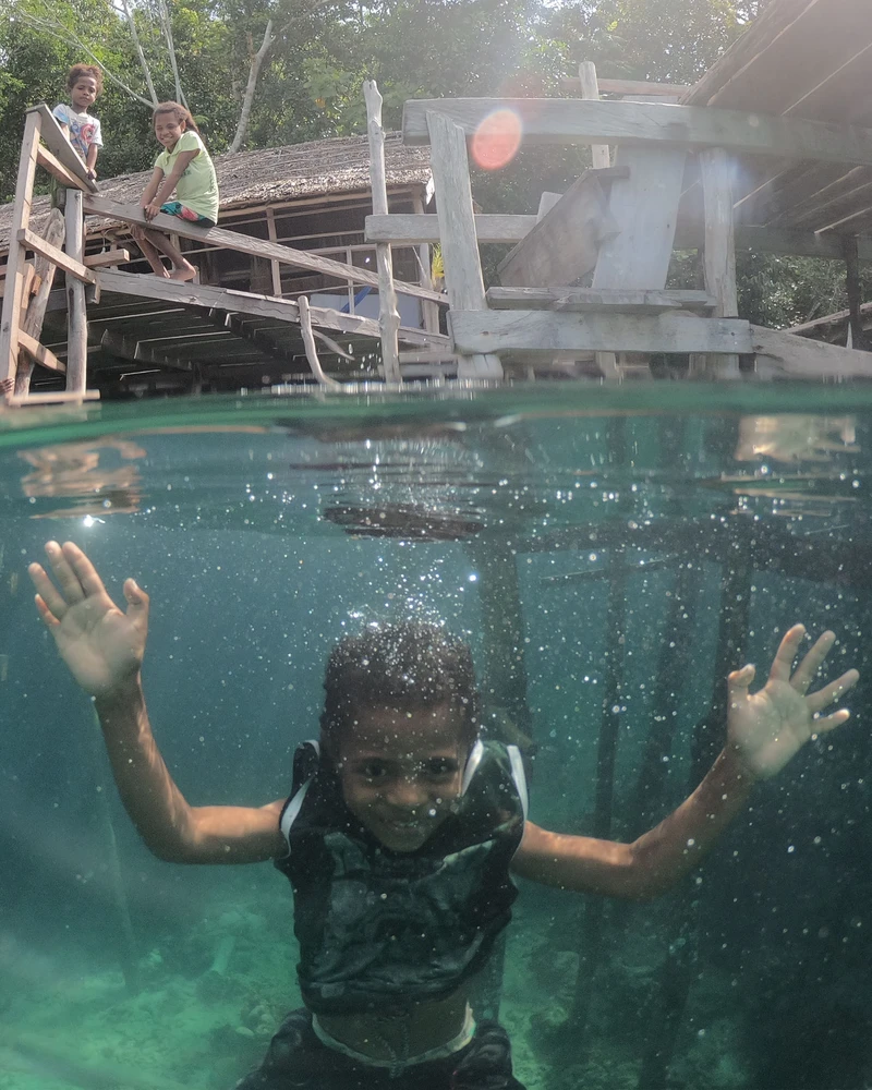 Describe the image here