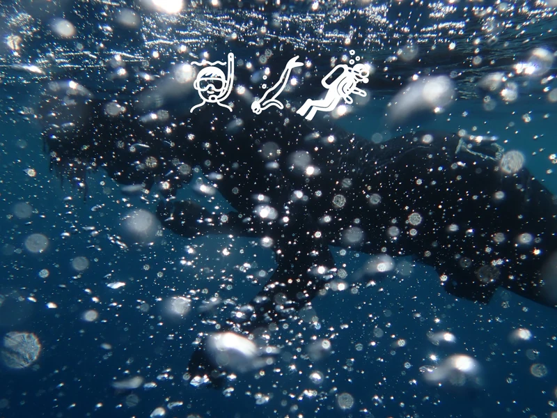 Snorkeling vs Freediving vs Scuba Diving in Bali